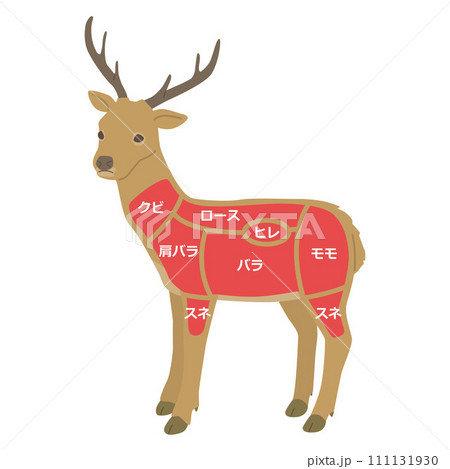鹿肉の部位のイラスト 鹿肉の部位のイラスト 111131930