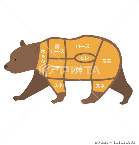 熊肉の部位のイラスト 111131933