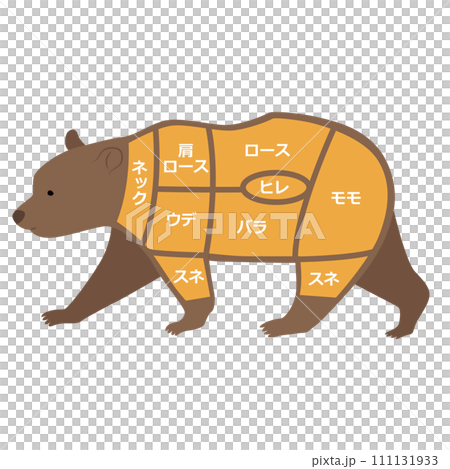 熊肉の部位のイラスト 111131933
