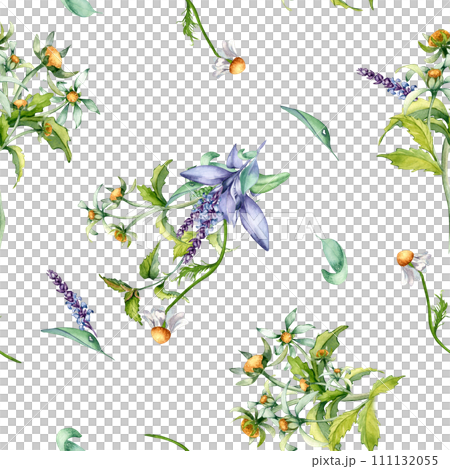 Sage herbal plant, bur-marigold watercolor seamless pattern isolated on white background. Salvia, nettle, chamomile, daisy useful flowers hand drawn. Design for label, package, home textile, wrapping Sage herbal plant, bur-marigold watercolor seamless pattern isolated on white background. Salvia, nettle, chamomile, daisy useful flowers hand drawn. Design for label, package, home textile, wrapping 111132055