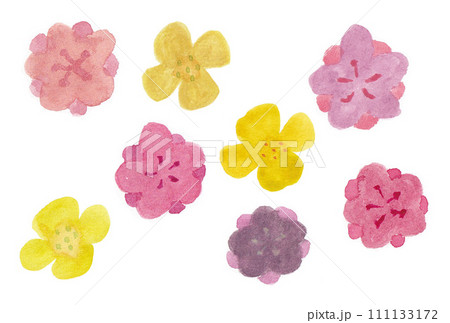 透明水彩絵具で描いた桃と葉の花のイラストセットA 透明水彩絵具で描いた桃と葉の花のイラストセットA 111133172