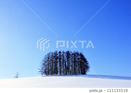 北海道のクリーンなイメージの風景 111133519