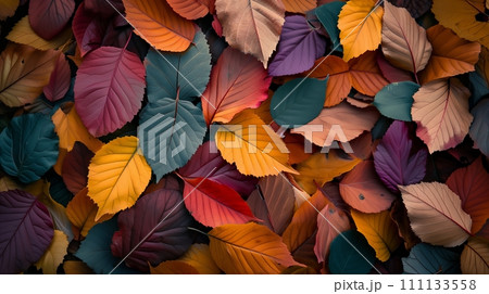 カラフルな落葉 111133558