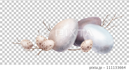 Chicken and quail eggs shell and willow branches. Symbols of Easter celebration. Design for card. Watercolor hand drawn painting illustration isolated on a white background. Minimalistic pastel color 111133664