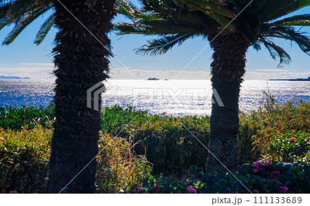 観音崎公園から晴れ渡った東京湾浦賀水道（神奈川県横須賀市） 111133689