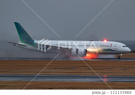 飛行機の着陸 スラストリバーサーとアンチコリジョンライト 飛行機の着陸 スラストリバーサーとアンチコリジョンライト 111133960