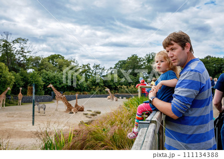 Cute adorable toddler girl and father watching and feeding giraffe in zoo. Happy baby child, daughter and dad, family having fun together with animals safari park on warm summer day. Ireland Cute adorable toddler girl and father watching and feeding giraffe in zoo. Happy baby child, daughter and dad, family having fun together with animals safari park on warm summer day. Ireland 111134388