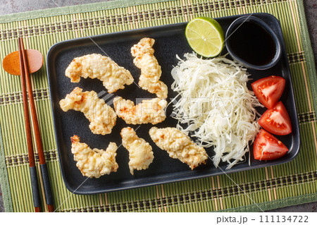Toriten fried chicken from Oita prefecture in Japan with sauce and cabbage salad closeup on the plate. Horizontal top view Toriten fried chicken from Oita prefecture in Japan with sauce and cabbage salad closeup on the plate. Horizontal top view 111134722