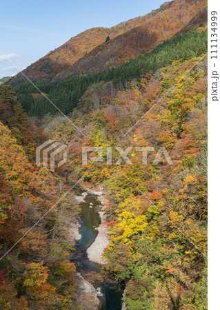 日本 秋田県湯沢市の小安峡の紅葉 日本 秋田県湯沢市の小安峡の紅葉 111134999