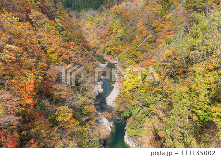日本　秋田県湯沢市の小安峡の紅葉 111135002