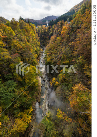 日本 秋田県湯沢市の小安峡の河原湯橋から眺める紅葉した木々と蒸気をあげる大噴湯 日本 秋田県湯沢市の小安峡の河原湯橋から眺める紅葉した木々と蒸気をあげる大噴湯 111135008