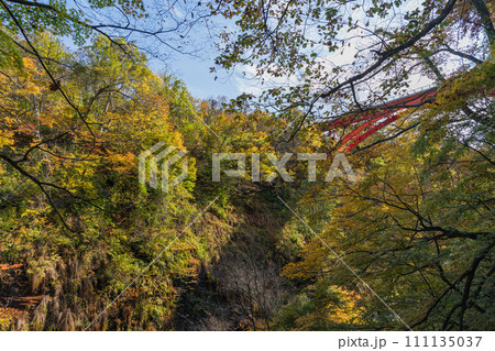 日本 秋田県湯沢市の小安峡の河原湯橋と紅葉 日本 秋田県湯沢市の小安峡の河原湯橋と紅葉 111135037