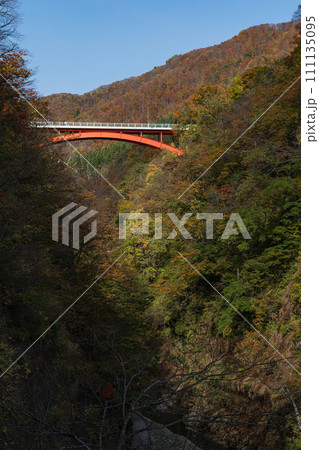 日本　秋田県湯沢市の小安峡の河原湯橋と紅葉した木々 111135095
