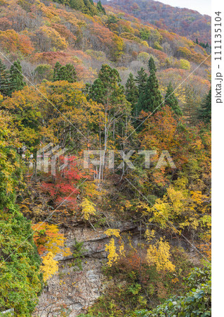 日本　秋田県湯沢市の小安峡の紅葉 111135104