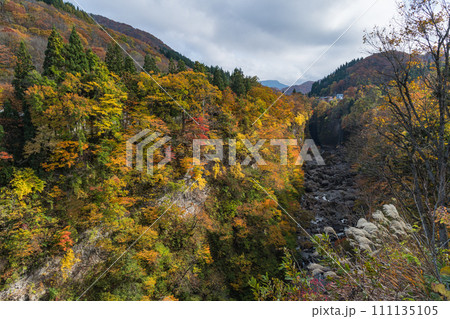 日本　秋田県湯沢市の小安峡の紅葉と皆瀬川 111135105