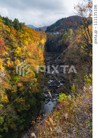 日本　秋田県湯沢市の小安峡の紅葉と皆瀬川 111135106