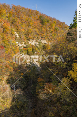 日本　秋田県湯沢市の三途川橋から見える三途川渓谷と紅葉した木々 111135123