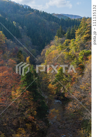 日本 秋田県湯沢市の三途川橋から見える三途川渓谷と紅葉した木々 日本 秋田県湯沢市の三途川橋から見える三途川渓谷と紅葉した木々 111135132