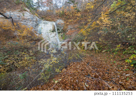 日本 秋田県湯沢市の川原毛地獄の紅葉と川原毛大湯滝 日本 秋田県湯沢市の川原毛地獄の紅葉と川原毛大湯滝 111135253