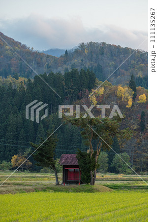 日本　秋田県湯沢市の田んぼに囲まれた小さい神社 111135267
