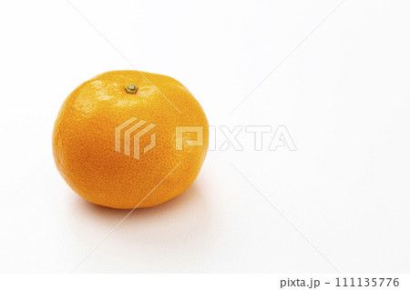 白背景にみかん 111135776