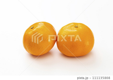 白背景にみかん 白背景にみかん 111135808