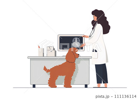 診察室でレントゲンを見る獣医さん 診察室でレントゲンを見る獣医さん 111136114