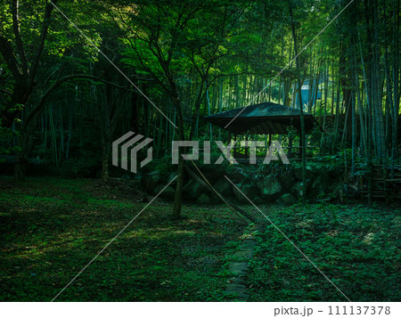 緑美しい日本の竹林の休憩所 緑美しい日本の竹林の休憩所 111137378