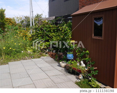 小さな小屋がある庭 小さな小屋がある庭 111138198