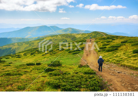 trail through the rolling landscape with hills and meadows of carpathian mountains. alpine scenery of ukrainian highlands. popular travel destination to the mnt. petros of transcarpathia in summer trail through the rolling landscape with hills and meadows of carpathian mountains. alpine scenery of ukrainian highlands. popular travel destination to the mnt. petros of transcarpathia in summer 111138381