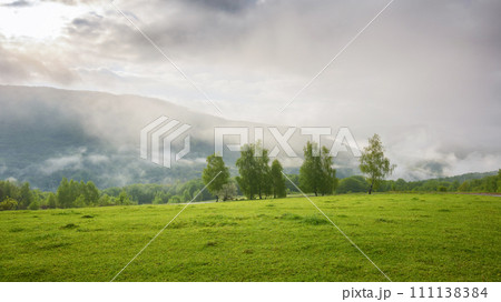 carpathian rural landscape with green meadows and pastures. countryside scenery with trees in the mist behind the grassy fields and hills of ukrainian alpine highlands. fog in the distant valley, carpathian rural landscape with green meadows and pastures. countryside scenery with trees in the mist behind the grassy fields and hills of ukrainian alpine highlands. fog in the distant valley, 111138384