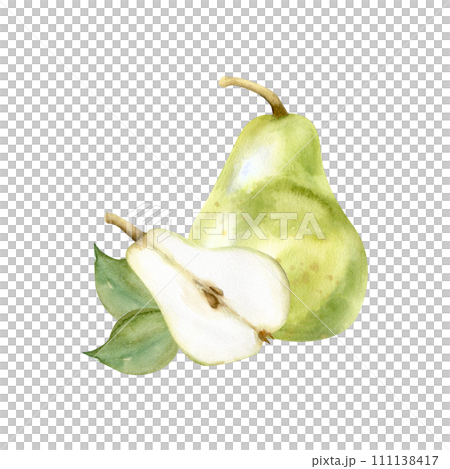 Watercolor hand drawn green pear and half slice illustrations. Summer fruits with green leaves arrangements for kitchen, plate, label, logo design. Clip art for invitation, card, wedding design Watercolor hand drawn green pear and half slice illustrations. Summer fruits with green leaves arrangements for kitchen, plate, label, logo design. Clip art for invitation, card, wedding design 111138417