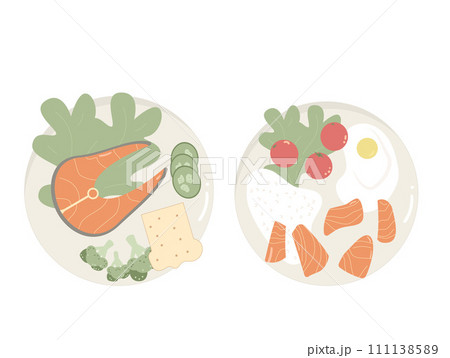 Salmon steak dishes. Red fish piece. Healthy food with egg, bread and rice. Vector flat illustration isolated on white background Salmon steak dishes. Red fish piece. Healthy food with egg, bread and rice. Vector flat illustration isolated on white background 111138589