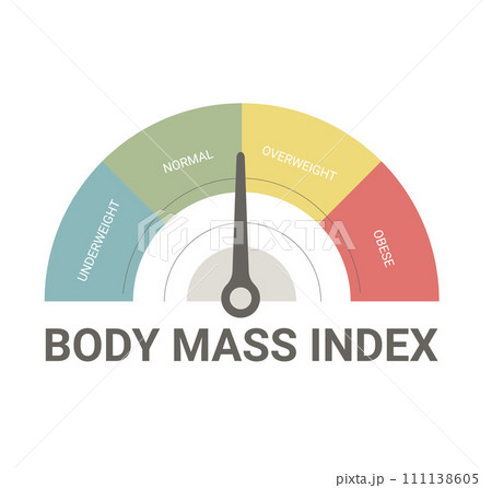 Obese indicator BMI. Body mass index isolated on white background. Weight control. Vector flat illustration 111138605