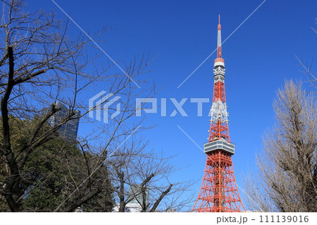 東京タワー 青空にそびえる東京タワー 東京タワー 青空にそびえる東京タワー 111139016