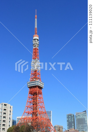 東京タワー 青空にそびえる東京タワー 東京タワー 青空にそびえる東京タワー 111139020