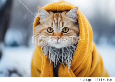 Portrait of an adorable cat dressed in a warm yellow cloak. 111139106
