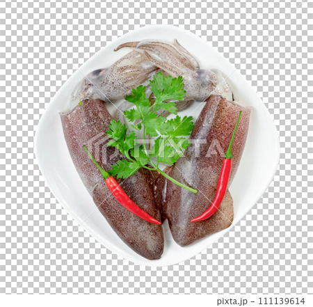 squid on dish with chili and coriander isolated squid on dish with chili and coriander isolated 111139614
