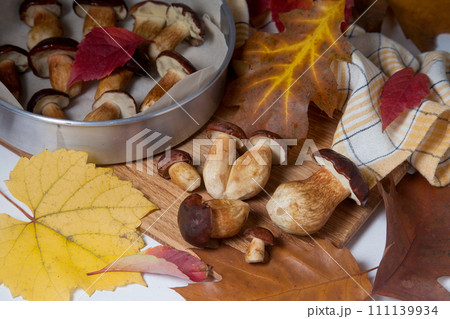 Several Imleria Badia or Boletus badius mushrooms commonly known as the bay bolete, vintage baking sheet with mushrooms on wooden cutting board.. 111139934