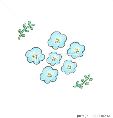 かわいい手描きのネモフィラ イラスト のイラスト素材