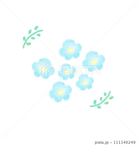かわいい手描きのネモフィラ イラスト のイラスト素材