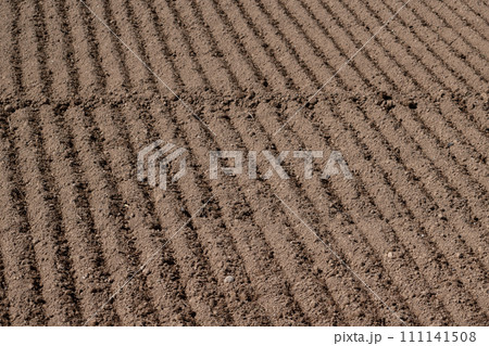 春の耕作が終わった畑 111141508