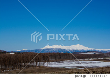 雪が残る春の畑作地帯と雪山 大雪山 雪が残る春の畑作地帯と雪山 大雪山 111141542