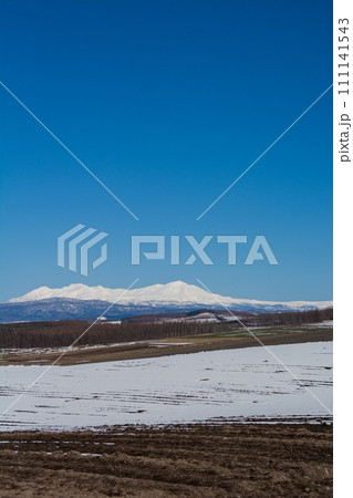 雪が残る春の畑作地帯と雪山 大雪山 雪が残る春の畑作地帯と雪山 大雪山 111141543