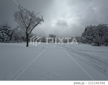 2024年1月の福島県のグランデコの非圧雪コース 111142392