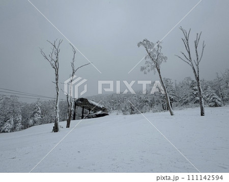 2024年1月の福島県のグランデコの非圧雪コース 111142594