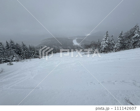 2024年1月の福島県のグランデコの非圧雪コース 2024年1月の福島県のグランデコの非圧雪コース 111142607