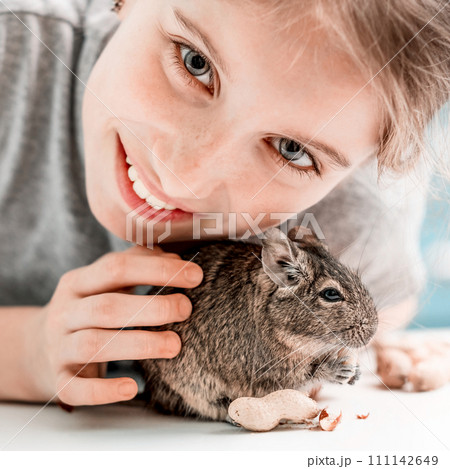 Portrait of young girl with degu squirrel and nuts, close-up. 111142649