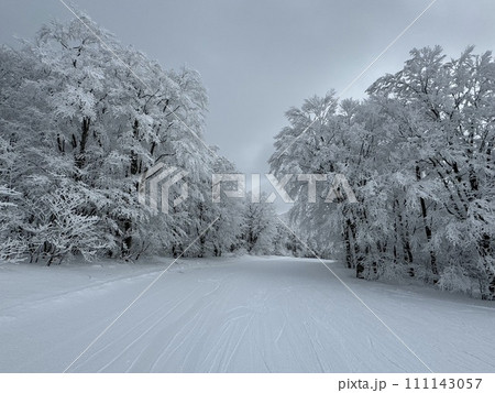2024年1月の福島県のネコママウンテンの南エリア 2024年1月の福島県のネコママウンテンの南エリア 111143057