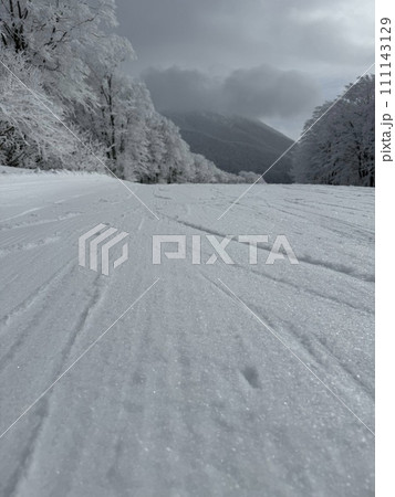 2024年1月の福島県のネコママウンテンの南エリアの雪面 111143129